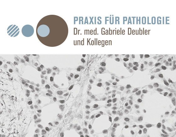 Projekte-560-x-436-Pathologie-Reutlingen.png